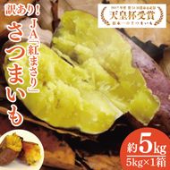 【2027年2月より発送】【訳あり】行方かんしょ「紅まさり」さつまいも約5kg（洗い・不揃い・C品）｜さつまいも サツマイモ さつま芋 お芋 紅まさり 訳あり わけあり 訳アリ 行方かんしょ 茨城県 行方市(AE-110)