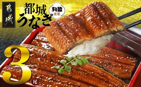 宮崎県育ちのうなぎ蒲焼3尾500g以上≪山椒・たれ付≫_AC-M301