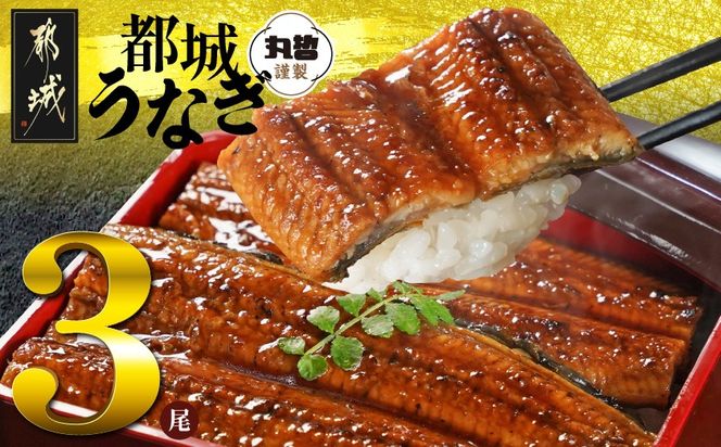 y{茧ssz{茧炿̂Ȃ3500gȏREt_AC-M301