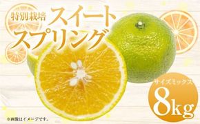 【先行受付】特別栽培スイートスプリング 8kg サイズミックス スイートスプリング 柑橘 フルーツ みかん 果物 天草 熊本県産【2025年12月下旬から2026年2月上旬発送予定】
