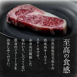 y{茧sz苍̏nT[CXe[L200g N0105-YA5502
