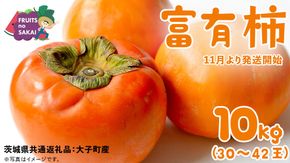 富有柿 10kg （約30～42個）【2025年11月より発送開始】（茨城県共通返礼品 [柿]：大子町産） かき 旬 お取り寄せ フルーツ 甘い 秋の味覚 [FC11-NT]