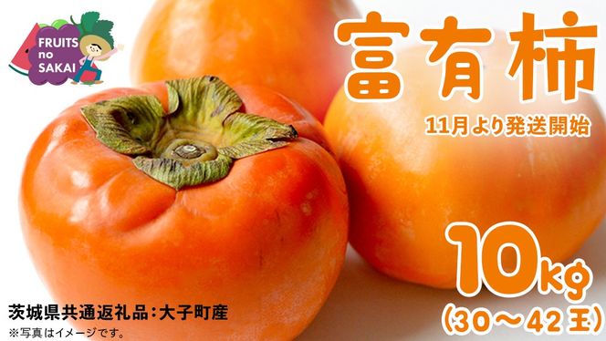 y錧΂݂炢szxL` 10kg i30`42jy2025N11蔭Jnzi錧ʕԗi [`]FqYj  {  t[c Â H̖o [FC11-NT]