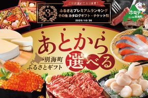 ランキング第3位獲得！あとからセレクト【ふるさとギフト】寄附3000円相当 あとから選べる！ カタログ ギフト BY0000003