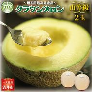 クラウンメロン（山等級）２玉入　 
