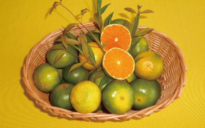≪秀品≫和歌山由良町産 由良早生みかん 約5kg サイズおまかせ【sml106C】