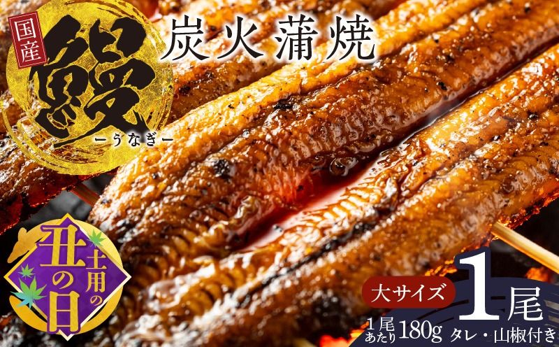 099H2332c [7/19土用の丑の日]国産うなぎ 大サイズ 180g×1尾 タレ 山椒付き 有頭 炭火 蒲焼