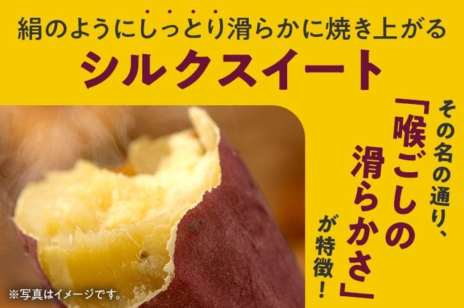 訳あり 熟成 シルクスイート 5kg さつまいも 芋 サツマイモ 土付き サイズ色々 サイズ不揃い 九州産 焼き芋 やきいも 甘い デザート スイートポテト 生芋 おやつ デザート 野菜 いも 【2024年12月以降順次発送】