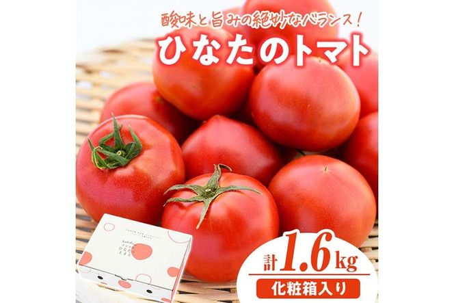 ＜先行予約受付中！2027年1～5月の間に発送予定＞門川ひなたのトマト(800g×2箱) 高糖度 トマト フルーツトマト 野菜 旬野菜 冷蔵 門川町産 宮崎県 門川町 【宮崎県農業協同組合日向地区本部(門川選果場)】【TM-02】