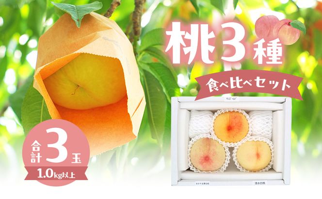 桃 2026年 数量限定 桃3種食べ比べセット 3種×各1玉 計1.0kg以上 岡山県 赤磐市産