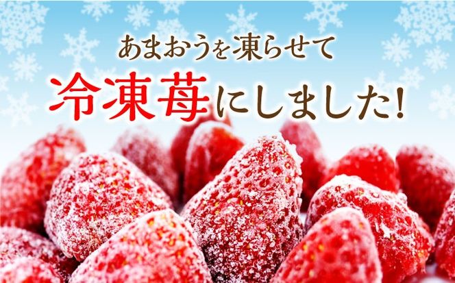 福岡県産【博多冷凍あまおう】約500g×4袋 合計約2kg《築上町》【株式会社H&Futures】[ABDG007]