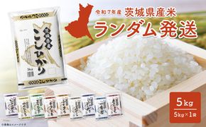 【令和7年産/白米】 ＜令和8年1月内発送＞ ※ランダム※  茨城県産 5kg 米 小分け 2025年産 K2464