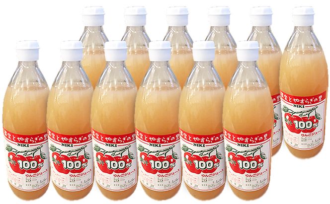 [先行受付/2026年] 農園のフレッシュりんごジュース 1L×12本 北海道 仁木 果物 フルーツ リンゴ 飲料類 果汁飲料 果物類 林檎 [フルーツショップ妹尾観光農園]