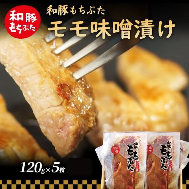 和豚 もちぶた モモ 味噌漬け 120g×5枚 豚肉