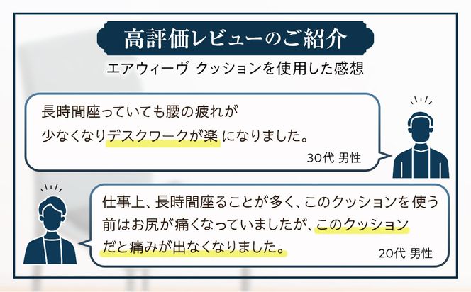 エアウィーヴ キャリークッションmini 232238_T232