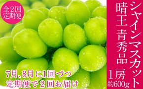 2026年予約受付中 シャインマスカット 晴王 7月8月に1回づつ出荷 2回 定期便 1房 約600g  人気 岡山県産 種無し 皮ごと食べる みずみずしい  フレッシュ 晴れの国 おかやま 果物大国 ハレノフルーツ