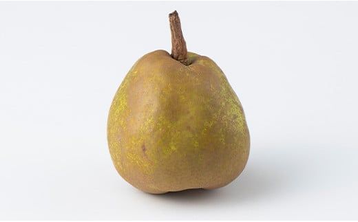 FYN6-429 《2026年先行予約》ご家庭用 山形県産西洋梨 ラ･フランス3kg 2026年11月中旬から順次発送 洋梨 洋なし ラフランス 秋果実 果物 くだもの フルーツ 訳あり 農業者 農家 支援 自宅 家庭 産地直送 山形県 西川町 月山