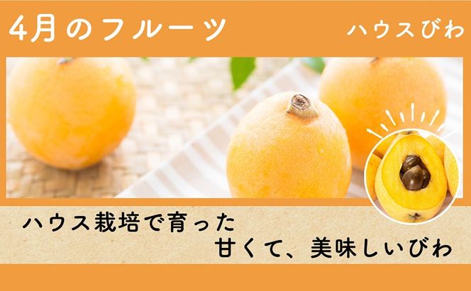 DH106 【令和9年度出荷分】【春～夏季】フルーツ定期便（全4回） ハウスびわ 小玉スイカ 小玉メロン 梨 [ 果物 フルーツ びわ すいか メロン ナシ 長崎県 島原市 ]