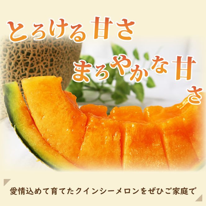 【2026年5月より順次発送】クインシーメロン 1玉(1.5kg以上)｜メロン クインシーメロン フルーツ 果物 くだもの 先行予約 茨城県 行方市(BW-28)
