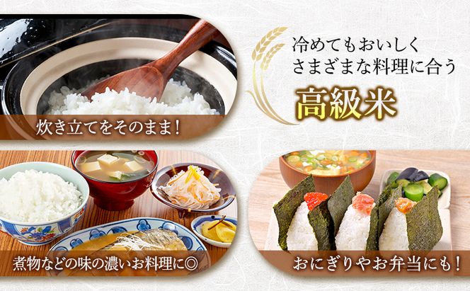 【令和7年度産】◆3ヵ月定期便◆ 富良野 山部米研究会【 ゆめぴりか＆ななつぼし 】精米 計10kgお米 米 ご飯 ごはん 白米 令和7年 令和7年産 定期便 定期 送料無料 北海道 富良野市 道産 直送 ふらの