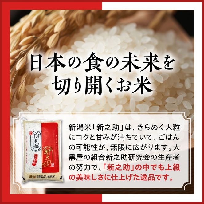 【最短1週間程度発送】令和8年産  新潟県上越妙高産 新之助 2kg