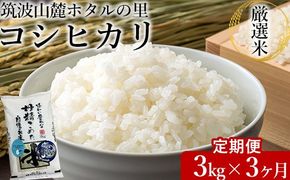 【定期便 3ヶ月】令和6年産 筑波山麓ホタルの里厳選米コシヒカリ3kg　透き通った大粒米　※離島への配送不可　※2024年9月下旬～2025年8月上旬頃より順次発送予定