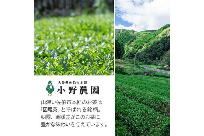 特選 釜炒り茶 因尾茶 (計240g・80g×3P) お茶 緑茶 茶 茶葉 釜炒り茶 日本茶 大分県 佐伯市 【ES01】【小野農園】