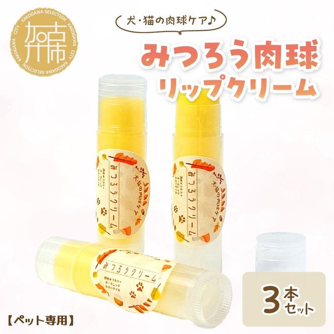 【ペット専用】みつろう肉球リップクリーム3本セット《 ペットグッズ 犬 ケア 国産みつろう100% スティッククタイプ オーガニック ホホバオイル 》【2400N13311】