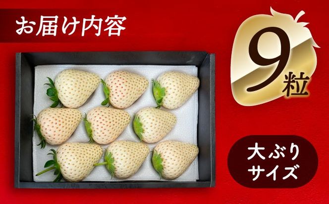 【先行予約】 ＼毎年1月より順次発送／ 白いちご　White Fairy 9粒 愛西市 / くぼ苺農園 【配達不可：北海道・沖縄・離島】[AECJ016]