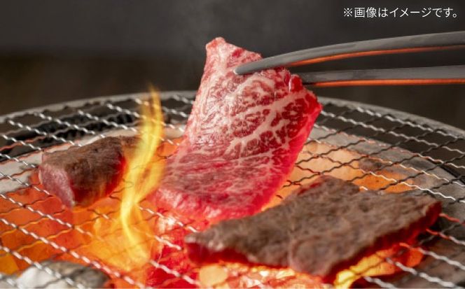 【A4ランク以上】長崎和牛 肩ロース 500g / 和牛 国産 牛肉 にく ブランド牛 真空 / 南島原市 / ミカド観光センター[SEC005]