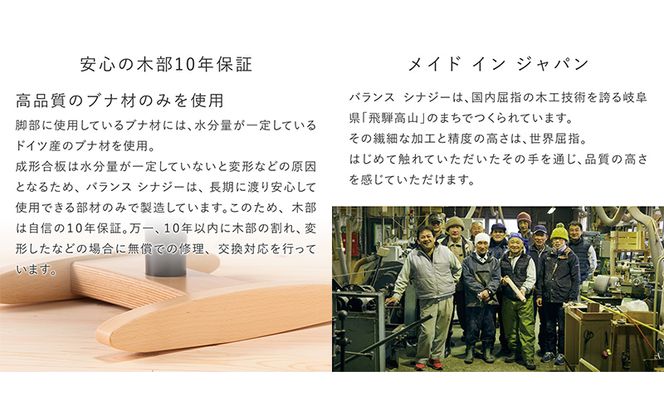 バランス シナジー(カバーなし) 椅子 腰痛 対策 イス バランスラボ