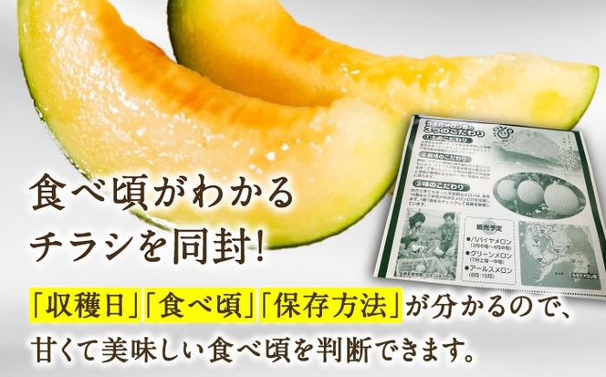 【2026年7月下旬〜発送】【平成新山メロンPREMIUM（とみちゃん厳選）】アールスメロン 2玉 / メロン めろん 果物 フルーツ / 南島原市 / うえだメロン園 [SAD004] 