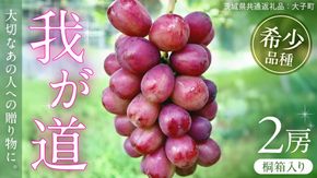 【桐箱入り】 我が道 ２房 【2026年9月上旬発送開始】(茨城県共通返礼品：大子町) シャインマスカット ウインク 葡萄 ブドウ ぶどう 果物 フルーツ 希少 新品種 贈答用 贈り物 ギフト プレゼント