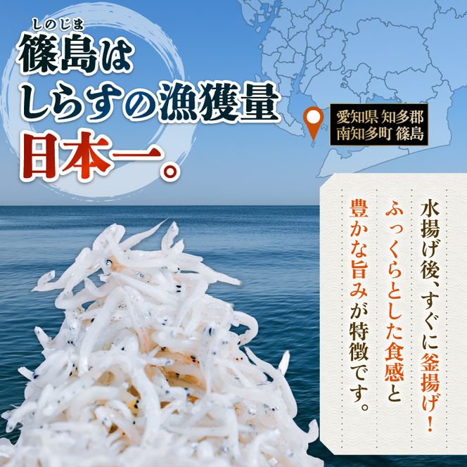 しらす干し 約1.3kg（100g×13パック） 南知多篠島産 大一商店 冷凍 小分け 愛知県 南知多町