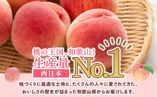 先行受付!　旬の桃　(特秀品)　約2kg　6～9個入
