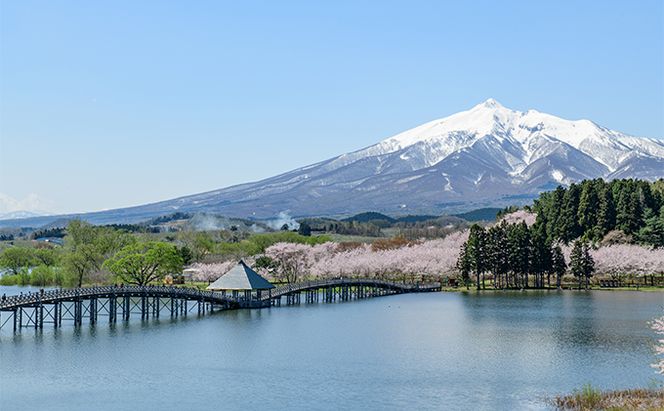 鶴田町　25年3月おすすめ返礼品！年度末のご寄附に！鶴田バターサンド 6個入り お菓子 洋菓子 スイーツ おやつ 手土産 お土産 ティータイム ほんのり塩味 サクサク 濃厚バタークリーム 