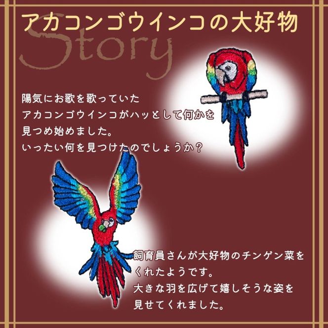 おはなし靴下 ギフトボックス アカコンゴウインコ キッズ グリーン