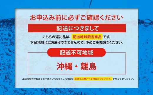 2J5【定期便１２か月コース】富士山の強炭酸水500mlラベルレス×24本入×12回