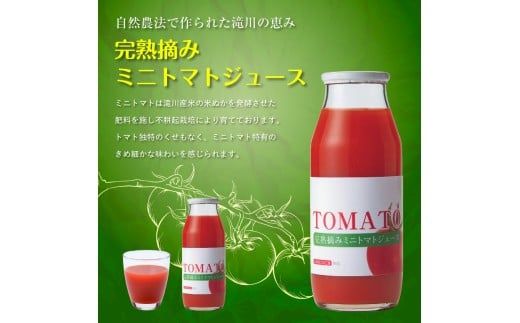 完熟摘みミニトマトジュース180ml 10本セット 北海道 無添加 無塩 100% とまと 滝川