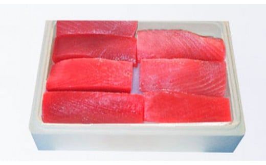 天然 キハダ（もしくはメバチ） 生まぐろ 大容量2kg 鮮度抜群の生まぐろをお届けします / 生鮪 鮪 マグロ 生まぐろ キハダマグロ 刺身【tka015A】