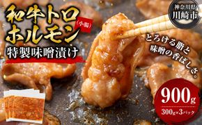 ＜訳アリ＞和牛トロホルモン　特製味噌漬け　0.9kg(300g×3）【2026年8月発送】 141305_KZ37VC08