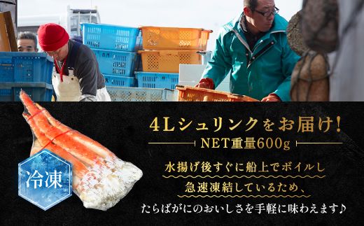 タラバ 脚 ボイル NET重量 600g 4L シュリンク 数量限定 キョクヨー たらばがに タラバガニ たらば蟹 カニ 蟹 肩 足 魚介 海鮮 極洋カニ鍋 焼きガニ
