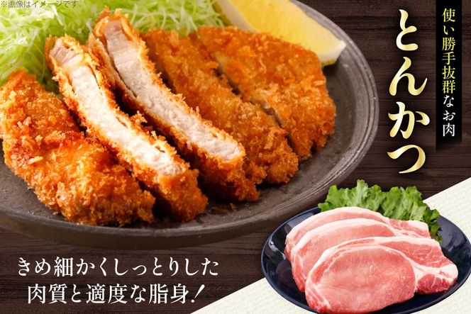 AK032 豚ロース とんかつ用 500g 2パック 計1kg [ 豚肉 ぶた肉 ロース 小分け 肉 お肉 とんかつ 1キロ BBQ バーベキュー 焼肉 アウトドア 1キロ スターゼン 長崎県 島原市 ]