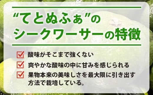 【先行予約】≪2026年8月以降順次発送≫ こだわりの青切りシークワーサー 2kg 約60～80個 【 産地直送 沖縄 石垣島 石垣 八重山 シークワーサー 柑橘 フルーツ くだもの 果物 】TF-008