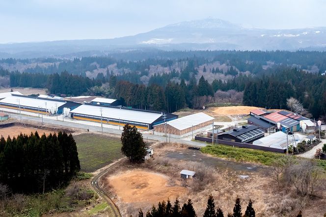 和牛なまはげ モモすきやき 300g 大進農場|23_dsf-040301