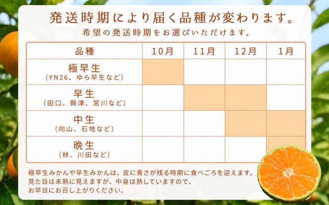 家庭用 有田みかん 和歌山 訳あり わけあり 大玉(2L,3Lサイズ混合) 約9kg【11月上旬～1月下旬頃に順次発送】/ みかん フルーツ 果物 くだもの 有田みかん 蜜柑 柑橘【ktn012B】
