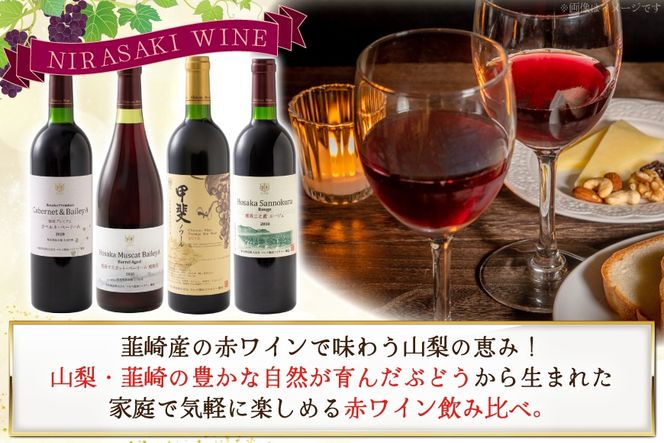 赤ワイン 4本 飲み比べセット　750ml×4本 [株式会社まあめいく 山梨県 韮崎市 20745328] ワイン Wine わいん 赤 飲み比べセット お酒 酒 山梨ワイン セット