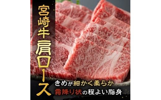 ※発送時期が選べる※宮崎牛赤身霜降り焼肉2種 800g 【 肉 牛肉 国産 宮崎県産 宮崎牛 黒毛和牛 和牛 焼肉 BBQ 4等級  A4ランク 肩ロース ウデ モモ 】 [E11124]