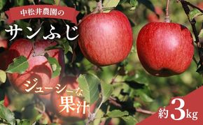 中松井農園のサンふじ　約3kg 長野 小諸 信州 リンゴ 林檎 果物類 りんご