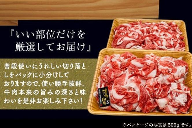 肉 牛肉 博多和牛 切り落とし 250g [MEAT PLUS 福岡県 宇美町 um40azp010057] ふるさと納税 牛肉 牛 肉 和牛 黒毛和牛 切落し 赤身 和牛 肩肉 牛肩 バラ肉 バラ 国産 冷凍